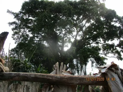 4ème mobilisation communautaire